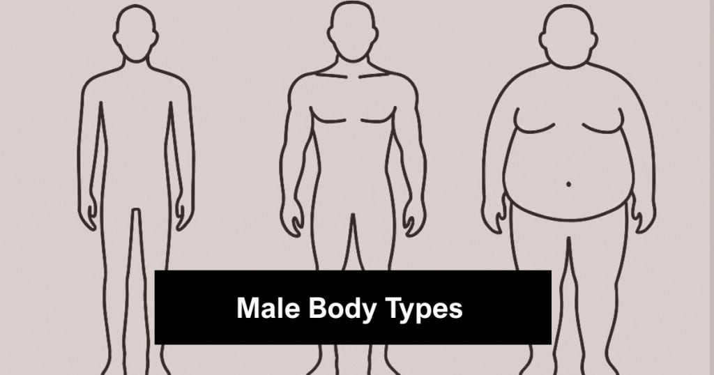 Male Body Types Chart